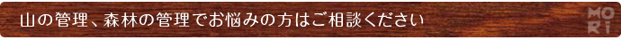 山の管理、森林の管理でお悩みの方はご相談ください